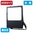 【岩崎電気】【投光器】【LED投光器】 E30044M/NSAN9/BK レディオック フラッド レスク 300W中角