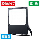 【岩崎電気】【投光器】【LED投光器】 E30044W/NSAN9/BK レディオック フラッド レスク 300W広角