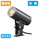 【岩崎電気】【投光器】【LED投光器】 ESP03002M/LSAN