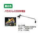 【バラスト300W相当 3点セット】【LEDアイランプ】【アイランプLED】 岩崎電気 レディオック LEDアイランプ・ホルダー・アームセット 30W