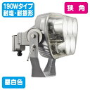【岩崎電気】【投光器】【LED投光器】 E31122N/NSAN2 LED投光器 レディオック フラッド ブリッツ 190Wタイプ 耐塩形+耐振形 狭角タイプ