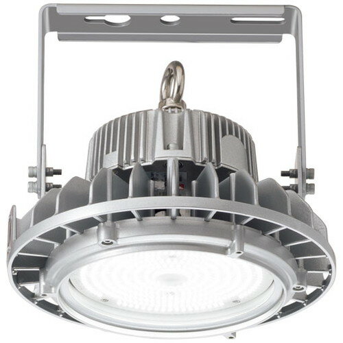 【岩崎電気】【高天井照明】【高天井led】EHWP10014W/NSAZ9 高天井用照明 DALI対応形 レディオック ハイベイ シータ 100W 水銀ランプ400W相当 クラス1500 広角 クリアタイプ