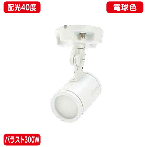 【ニッケンハードウェア】【LED投光器】【一体型LEDアームスポット ビュートロン】 VT40-40W-F 白 【バ..