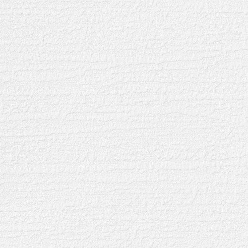 【1m単位切売】サンゲツ クロス リザーブ 珪藻土 RE53430