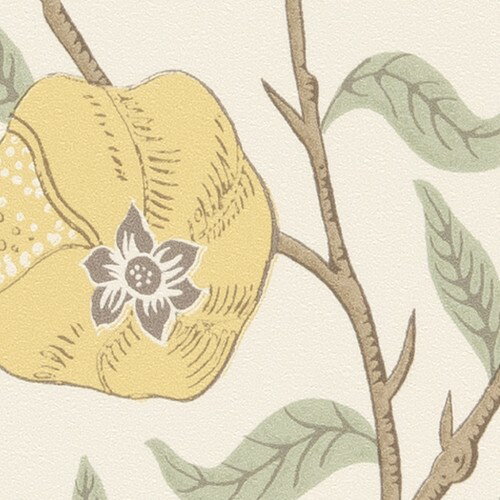 1mñ 󥲥  ե FE76001 MORRIS CHRONICLES | ɻ  ɻ椪 󥲥ɻ İɻ ɻĥؤ ɻ ץɻ ɻ ɻ ɻ ȥɻ ɻ楷ץ ɻɻ ɻ