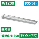 【アドビューN2】【W1200 昼光色】【ダウンライト】【H1800看板クラス】タテヤマアドバンス R70タイプ(D) 昼光色(6500K) 5105022