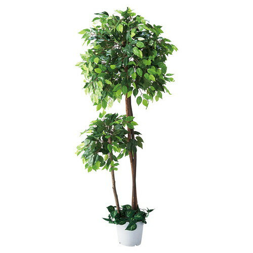 人工観葉植物ベンジャミンダブル (1台) kp38-428-23-1