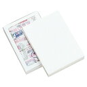 ギフトケース ホワイト 26×35×6cm (10枚) kp38-781-88-16