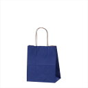持ち手付き紙袋 カラー手提げ紙袋 ネイビー 21×12×25cm (300枚) kp38-309-11-9