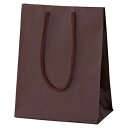 カラー手提げ紙袋 ブラウン 20×12×25cm (100枚) kp38-313-6-5