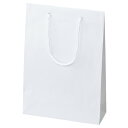 手提げ紙袋 白 ストライプエンボス 22.5×8×32cm (50枚) kp38-313-8-11