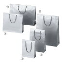 ブライトバッグ シルバー 18.5×6.5×24cm (10枚) kp38-661-54-6