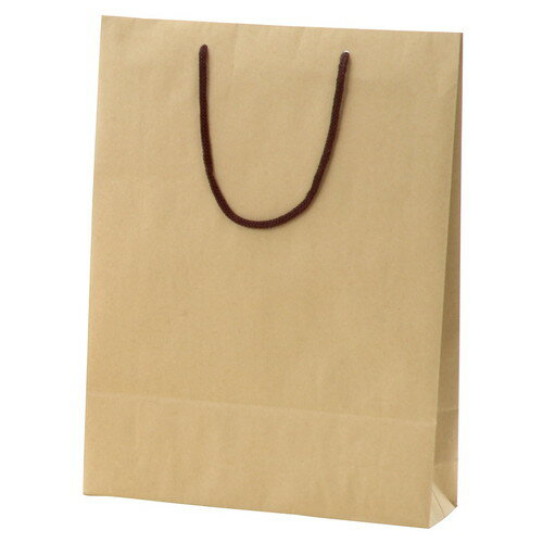 カラー手提げ紙袋 クラフト 33×10×45cm (100枚) kp38-785-20-7