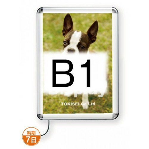 【LEDパネル】【LEDライトパネル】【PGライトLEDルクスト(屋外用-パックシート付)】 B1シルバー TSK-PG-44RLED-B1C(P)