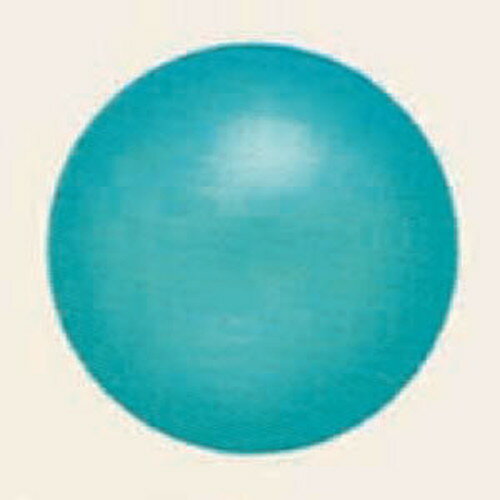 ڥǥХ롼ѡ(10)13cmۡХѡ SAGD6252
