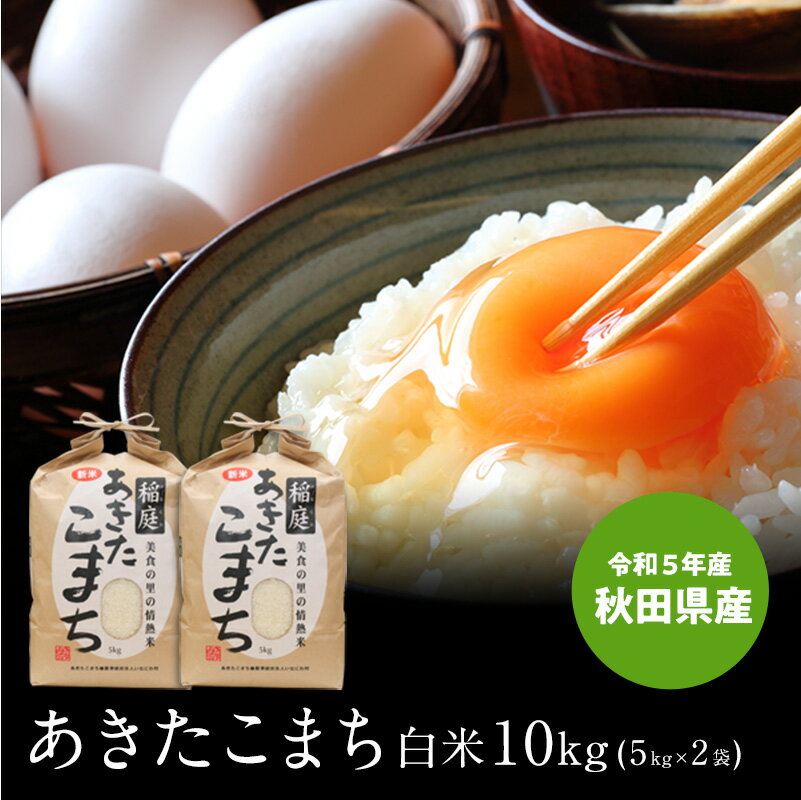 送料無料 白米 米 令和5年 秋田県産 