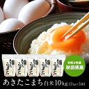 人気ランキング第25位「稲庭うどんの寛文五年堂」口コミ数「270件」評価「4.81」2kg×5袋 小分けでお届け！送料無料 令和5年 秋田県産 あきたこまち 10kg (2kg×5袋) 白米 米 小分け お米 秋田米