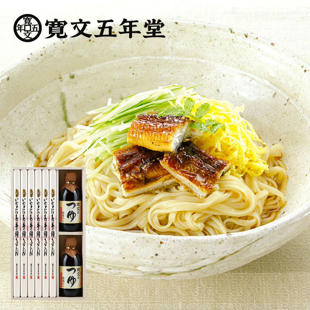 稲庭うどん 送料無料 寛文五年堂 いなにわ手綯うどん・ストレートつゆ うどん140g×6袋 ストレートつゆ295ml×2本 8～1…