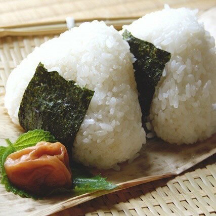 【潮風のたより】新海苔 初摘み 有明海産 焼海苔 味付海苔 塩海苔 お歳暮 正月 おうちごはん 朝食 昼食 夕食 贈答 レシピ ご飯のお供 熨斗 包装 お買い得 お得ギフト 贅沢 店主厳選 冬ギフト 令和7年 新海苔