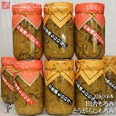 【送料無料】【レターパック発送】【元祖】とうがらしもろみ/田舎もろみ(昆布生姜)九州 八女発 元祖の味わい220gX6本(1種〜2種混合)コロナ・応援・在庫処分...