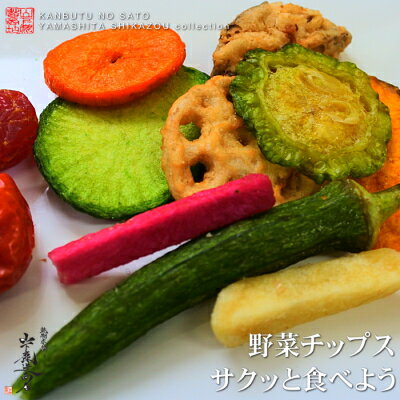 【送料無料】[レターパック発送]サクッと食べよう　野菜チップス　150g×2個　乾物屋厳選の10種類の野菜を　サクッと美味しいチップスにしました　　野菜を手軽に食べられますコロナ・応援・在庫処分・ロス・訳あり・食材