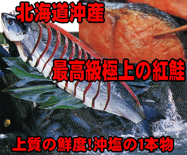 ■送料無料■ロシア産 最上級極上品 紅鮭 ≪新物≫ 1本物真空 1本約2kg前後※カットはしておりません(北海道/沖縄は別途送料加算)