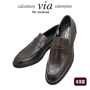  ޥɥ饹  ܳ ӥͥ塼 VC7004 ֥饦 3E ե »η ׷calzatura via camminoޥɥ饹ե  ޥåˡ쥶 󥺥塼  ̶ ӥ