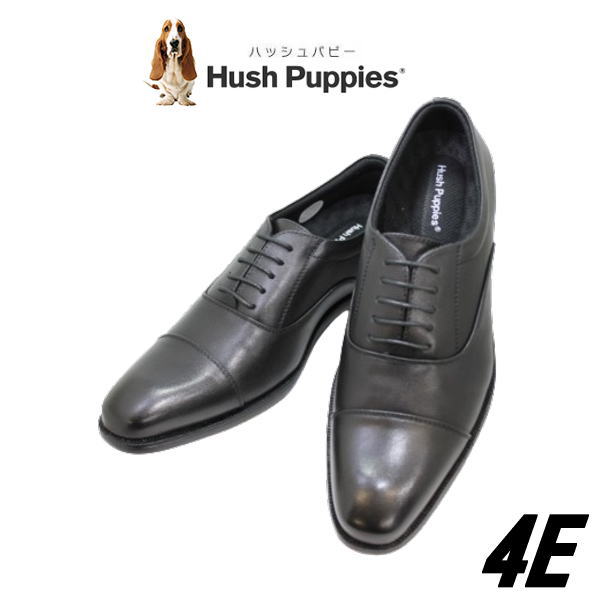 ϥåѥԡ   ȥ졼ȥå M900T (֥å) HUSH PUPPIES ӥͥ塼 ̶ 