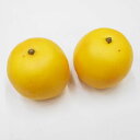 【訳あり品 B級品】 フェイク グレープフルーツ(果物・フェイクフード・食品サンプル)