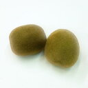 【造花】キウイ 2個セット(フェイクフード・フェイクフルーツ...
