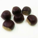 くりの実 6個入(造花・フェイクフード・食品サンプル)