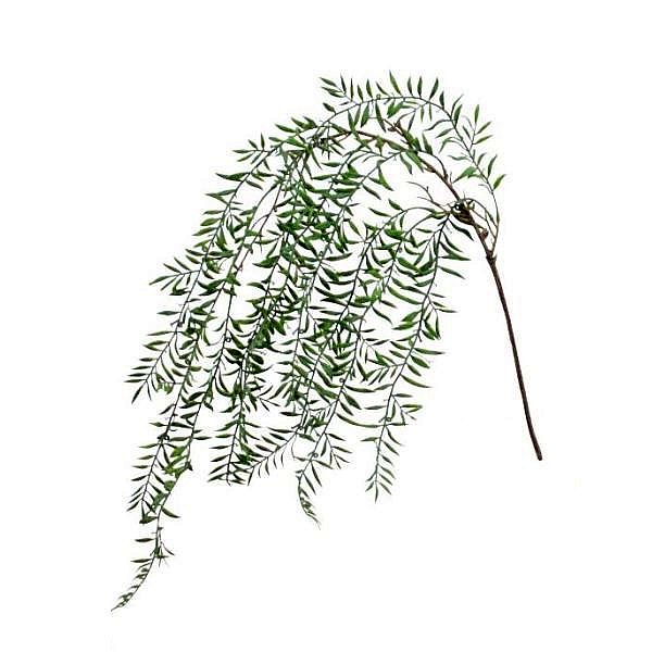 造花 柳 ヤナギ ウィロー 85cm（フェイクグリーン・人工観葉植物 やなぎ ）