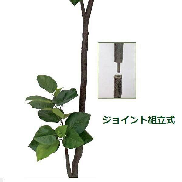 造花ウンベラータ