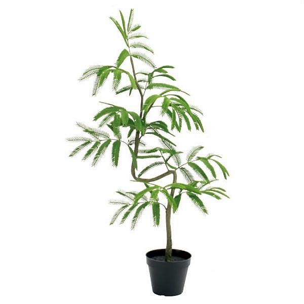 人工観葉植物 エバーフレッシュ 70cm アカサヤネムノキ（インテリアグリーン 造花・フェイクグリーン・..