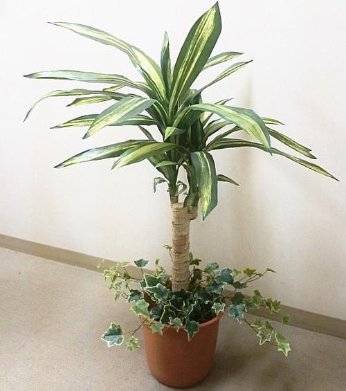【造花】ドラセナ鉢植え（フェイクグリーン・人工観葉植物）幸福の木