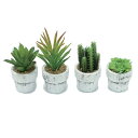 人工観葉植物 ミニ多肉植物ポット 4個セット(造花・フェイクグリーン)