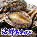 【最高鮮度保証】あわび 刺身 冷凍あわび 活鮮あわび アワビ 高級食材 贈り物にも最適 美味しいBBQ・バター焼き料理 …