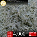 しらす屋の上干しちりめん　1Kg