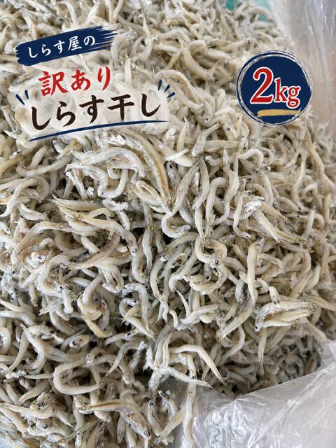 しらす屋の訳ありしらす干し　2kg