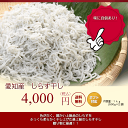 しらす屋のしらす干し1kg (上)愛知産