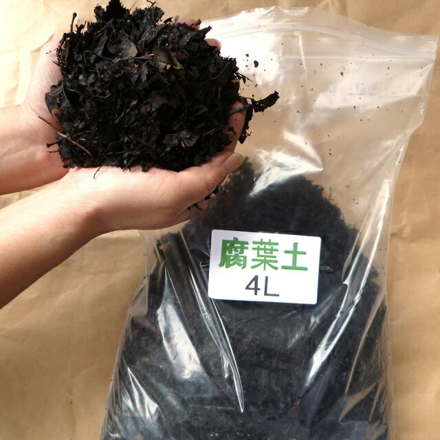 『放射能測定済み』安心安全の日本産（香川県・岡山県産）落葉使用！　金の腐葉土【4L】【園芸用だけでなく、カブトムシの飼育にも最適】　《自然農法栽培に最適》のサムネイル