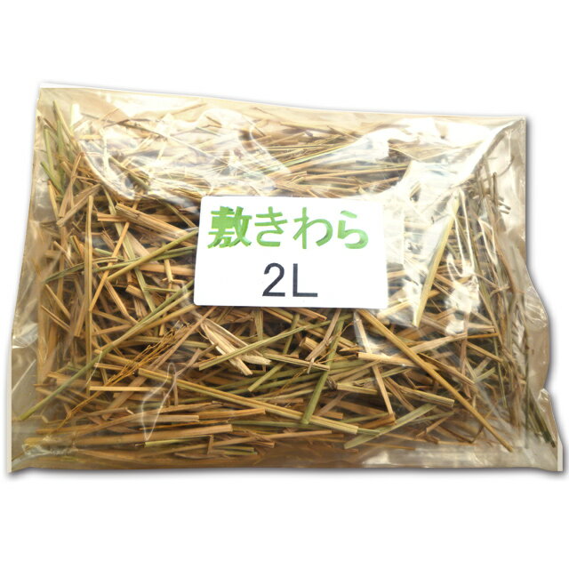 敷きわら（香川県産）マルチング・乾燥防止・装飾用　2L（長さ約65cmの一般的プランター1つ分）『放射能測定済み』【無農薬のお米の稲わら】