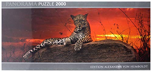 HEYE Puzzle ヘイパズル 29608 Alexander von Humboldt : Red Dawn (2000 pieces)