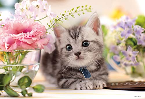 ӥХ꡼(BEVERLY) ѥ PRETTY PET 碌 1000ޥԡ (1000M-008)
