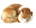 猫ぬいぐるみリアル寝そべりねこ本物そっくりネコちゃん置物部屋飾りインテリア#5