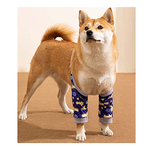 sekussii ϥӥ Ѵץƥɨݡ Ϸ ڥåѥݡβ Ӥɻ ­ݸ ڥåѥ...