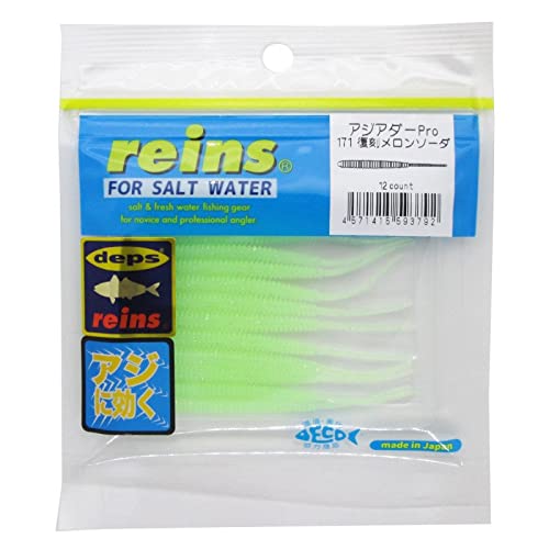 reins(쥤)  Pro 171 󥽡