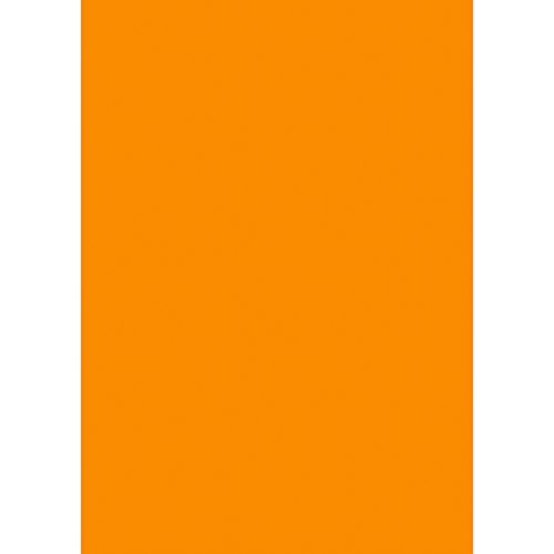 ササガワ(Sasagawa) タカ印 ケイコーポスター 13-3184 厚口 A4判 橙