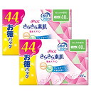 ポイズ さらさら素肌 吸水ナプキン 安心の少量用40cc お徳44枚 (ふとした尿もれケアに)×2個セット
