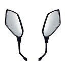 Karun ポリゴンミラーセット M10正ネジ 左右セット